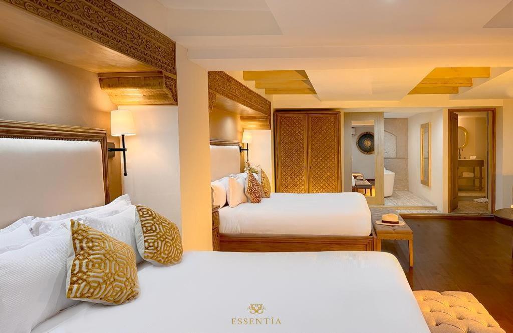 The Essentia Hotel San Miguel سان ميغيل دي الليندي المظهر الخارجي الصورة